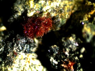 Kermesite Antimony - Su leonargiu mine Sarranbus I